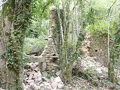 Maison Denys en ruine du village.