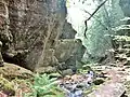 Rochers dans le vallon d'un petit affluent de l'Ellé au sud de Loc Ivy.