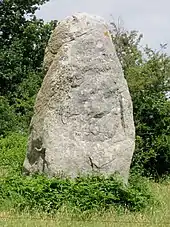 Le menhir de Nestadio.