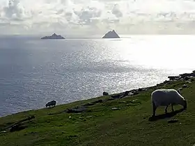 Vue de l'archipel depuis l'île de Valentia (Little Skellig à gauche et Skellig Michael à droite).