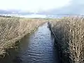 Le fleuve côtier Kerharo dans sa traversée des roselières du marais de Kervijen.