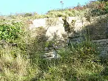 Le gisement de calcaire de Rozan (estuaire de l'Aber)
