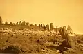 Partie orientale du cromlech d'Er Lannic (photographie de Zacharie Le Rouzic).