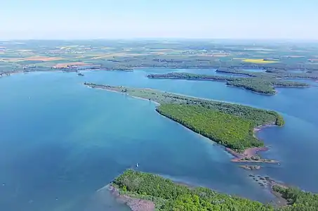 Ile du Bois Gérard pointant vers Madine 1 -Au premier plan : passe franchissable par le gibier - À droite : pétales du Bois de Gargantua.