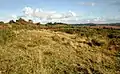 Paysage de landes dans les monts d'Arrée (sentier de randonnée « Circuit des carrières »).