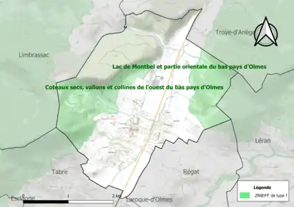 Carte des ZNIEFF de type 1 sur la commune.