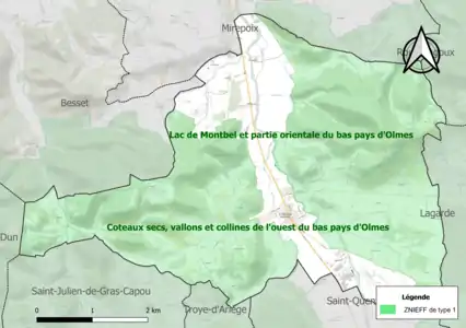 Carte des ZNIEFF de type 1 sur la commune.