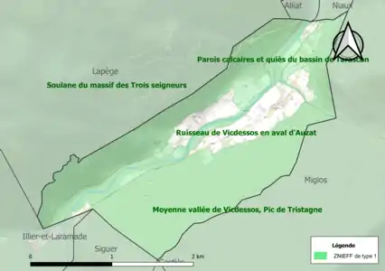 Carte des ZNIEFF de type 1 sur la commune.