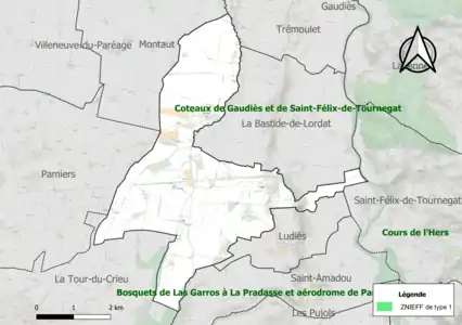 Carte des ZNIEFF de type 1 sur la commune.