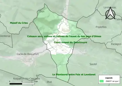 Carte des ZNIEFF de type 1 sur la commune.