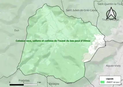 Carte de la ZNIEFF de type 1 sur la commune.