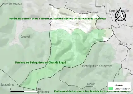 Carte de la ZNIEFF de type 1 sur la commune.