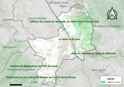 Carte des ZNIEFF de type 1 sur la commune.