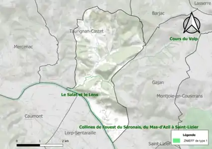 Carte de la ZNIEFF de type 1 sur la commune.