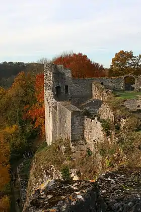 Image illustrative de l’article Château de Logne
