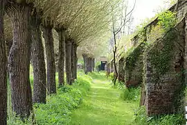 Mur d'enceinte de l'abbaye.