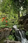 L'une des cascades du Jardin botanique.