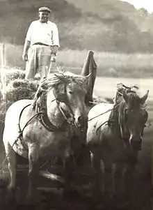 Deux chevaux de trait tirant une charrette, menés par un paysan positionné debout sur son attelage.