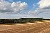 Ensemble formé par le Mont Panisel et le Bois-Là-Haut