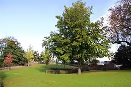 Le site archéologique de l'enceinte castrale de l'ancien château comtal