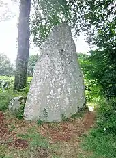 Menhir situé à environ 500 mètres à l'est de la chapelle de Kérinec.