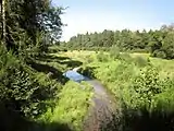 L'ancien étang de Pontcallec, désormais asséché.