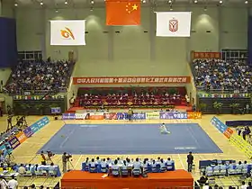 Le 10e championnat de Chine de wushu