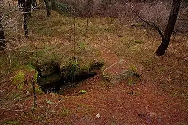 Accès à un sous-sol près de l'entrée principale (2011).