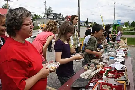 Un marché public où les élèves et la communauté de Lamarche sont invités à réunir les ingrédients (les roches-aliments) qu’ils ont besoin pour confectionner leur assiette pour un pique-nique communautaire.