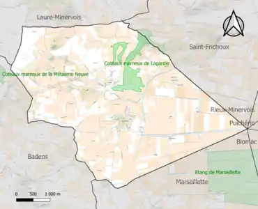 Carte de la ZNIEFF de type 1 sur la commune.