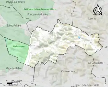 Carte de la ZNIEFF de type 1 sur la commune.