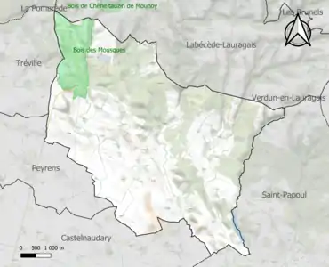 Carte de la ZNIEFF de type 1 sur la commune.