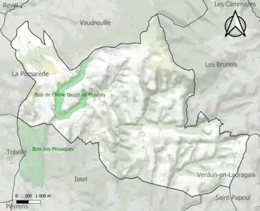 Carte des ZNIEFF de type 1 sur la commune.