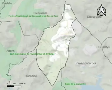 Carte de la ZNIEFF de type 1 sur la commune.