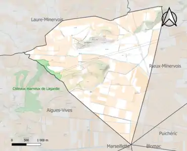 Carte de la ZNIEFF de type 1 sur la commune.