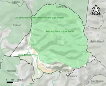 Carte des ZNIEFF de type 1 sur la commune.