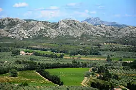 Image illustrative de l’article Olives cassées de la vallée des Baux-de-Provence