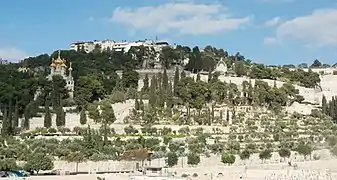 Mont des Oliviers (Israël)