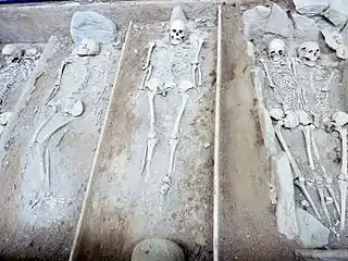 Vue en plan longitudinale des tombes reconstituées au musée de la préhistoire finistérienne de Penmarc'h.