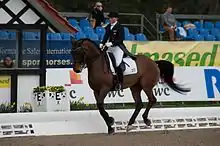 Photo d'un cheval au trot monté par une cavalière, à l'arrière-plan des spectateurs assis sur des tribunes.