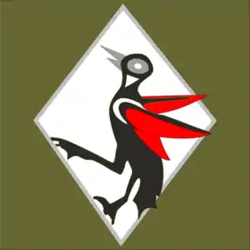 Image illustrative de l’article 131e escadrille de chasse polonaise