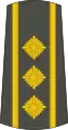 ПуковникPukovnik(Serbian Army)