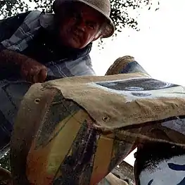 L'artiste Jocelyn Maltais attachant une toile de jute peinte à un des mâts.