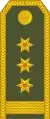 Pukovnik(Montenegrin Ground Army)