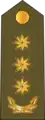 Polkovnik(Azerbaijani Land Forces)