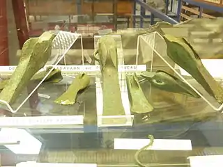 Haches à aileron trouvées dans le dépôt de Kergadavarn en Plouguerneau (Musée de la préhistoire finistérienne de Penmarc'h)