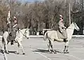 Cérémonie de cavalerie de la brigade.