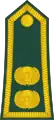 Patte d'épaule portant deux insignes dorés