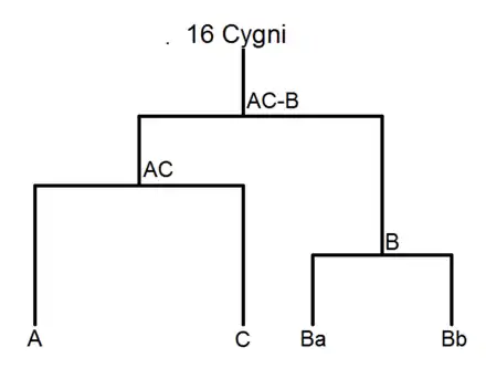 Le système 16 Cygni (structure du type « 2×2 » = « 2+2 ») : une étoile centrale (A) autour de laquelle orbite une autre étoile plus petite (C), le tout entouré par un système composé d'une étoile (Ba) et de sa planète (Bb).