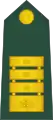 Polkovnik(Slovenian Ground Force)